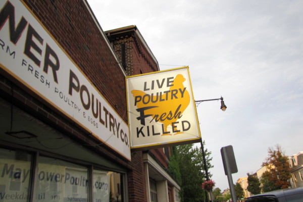Photo of Mayflower Poultry, Cambridge, Massachusetts