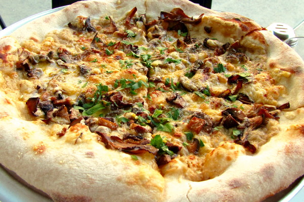 photo of a white pizza with fontina cheese and exotic mushrooms from Area Four, Cambridge, MA