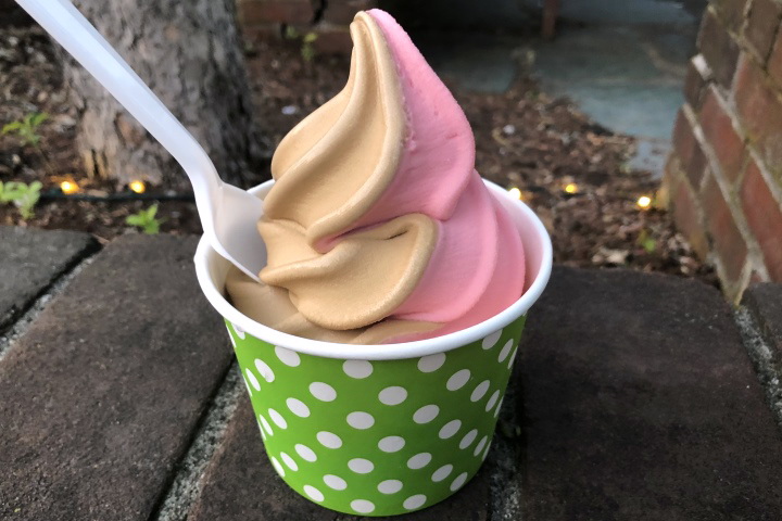 photo of javaberry soft serve ice cream from Dairy Joy, Weston, MA