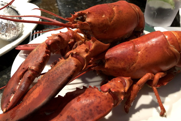 photo of Twin Lobster Special from Doyle's Pub and Grill, Brockton, MA