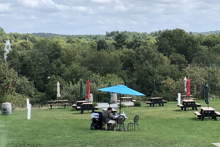photo of Picnic Grounds at Nashoba Valley Winery, Bolton, MA