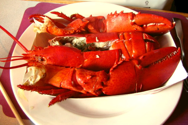photo of lobster from Ogunquit Lobster Pound, Ogunquit, ME