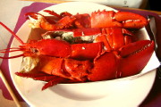 photo of lobster from Ogunquit Lobster Pound, Ogunquit, ME