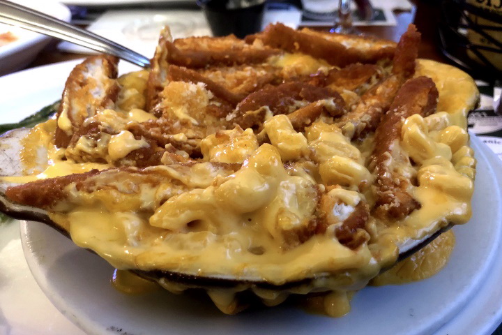 photo of macaroni and cheese with chicken from The Squires, Hanover, MA